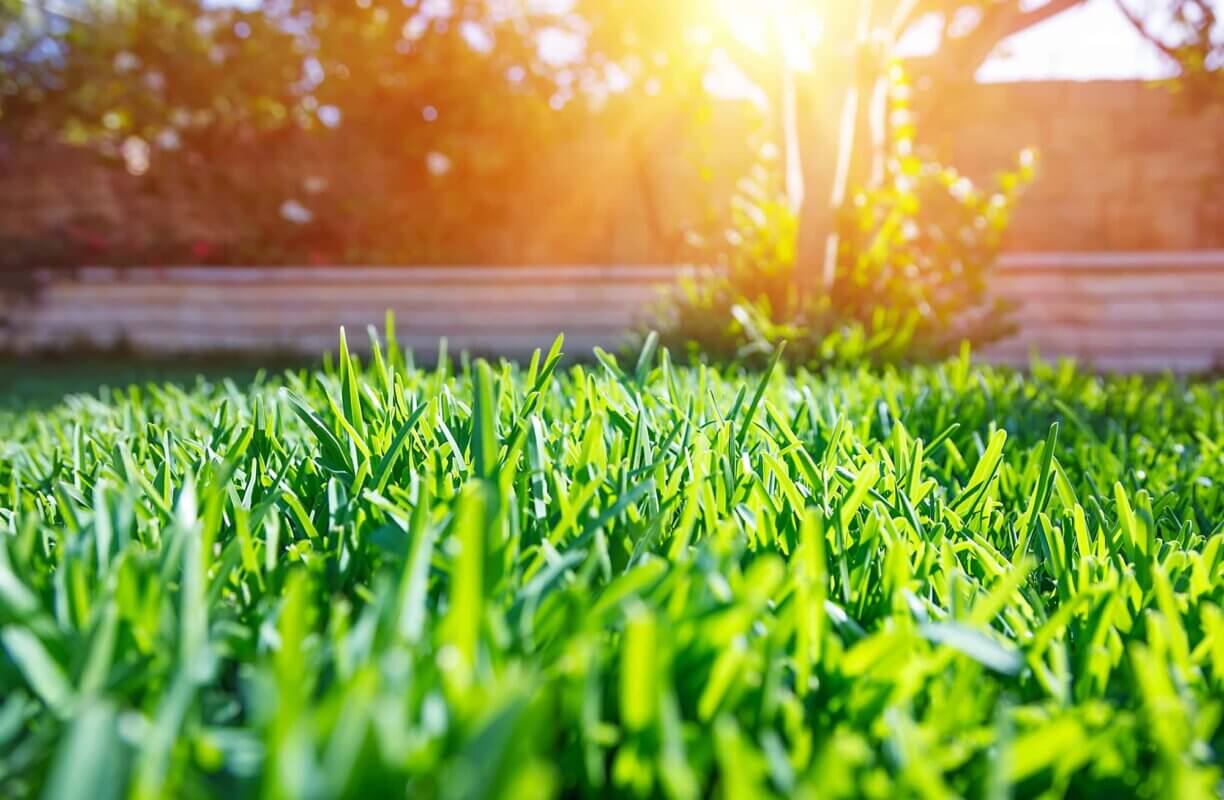 hot_weather_tips